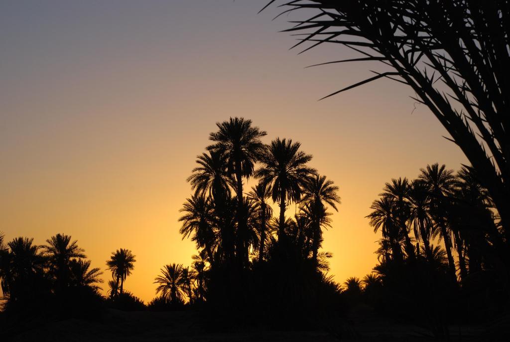 Kasbah Les Alizes Du Desert Мхамид Екстериор снимка