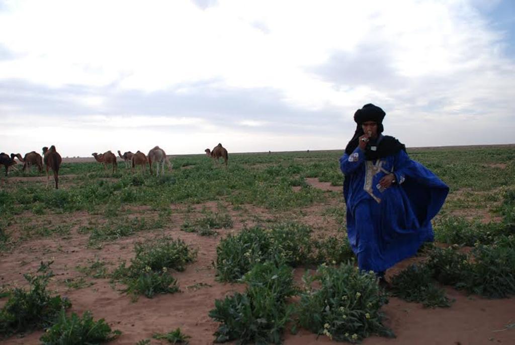 Kasbah Les Alizes Du Desert Мхамид Екстериор снимка
