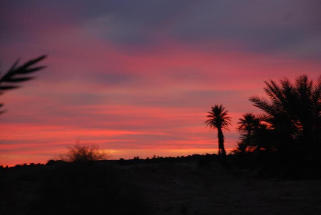 Kasbah Les Alizes Du Desert Мхамид Екстериор снимка