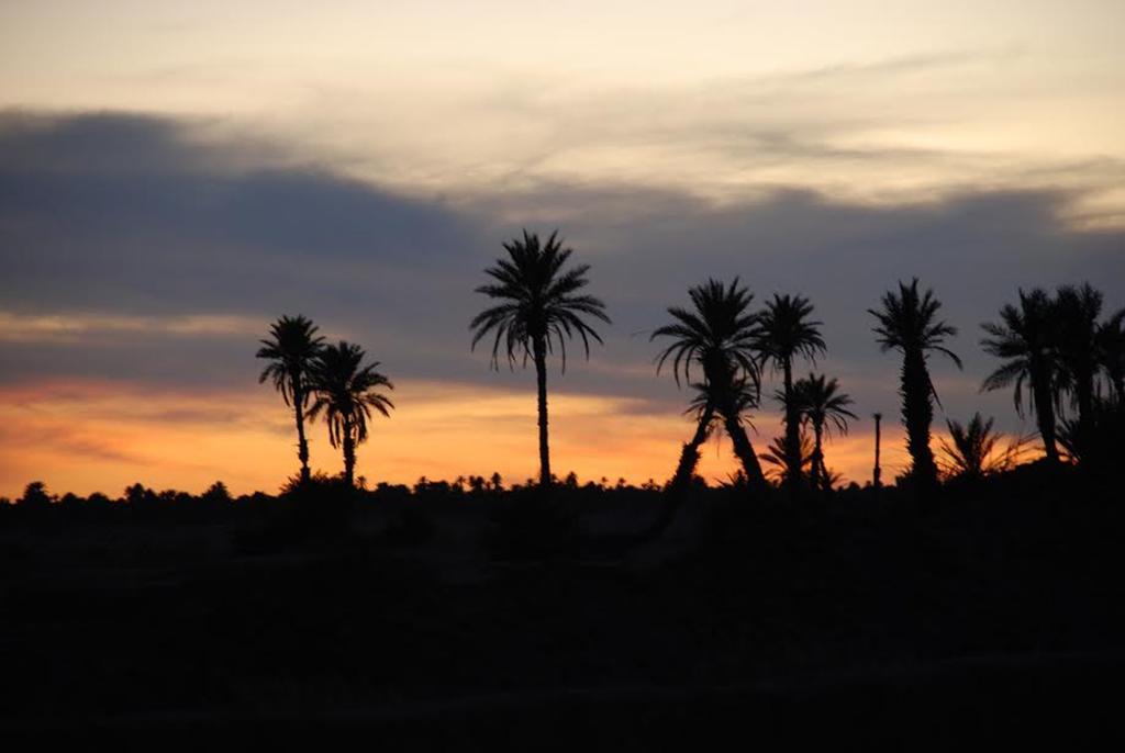 Kasbah Les Alizes Du Desert Мхамид Екстериор снимка