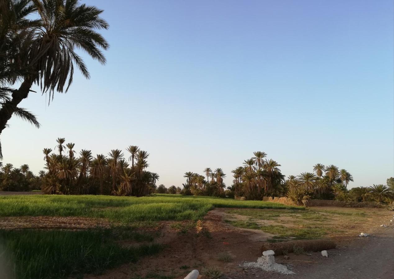 Kasbah Les Alizes Du Desert Мхамид Екстериор снимка