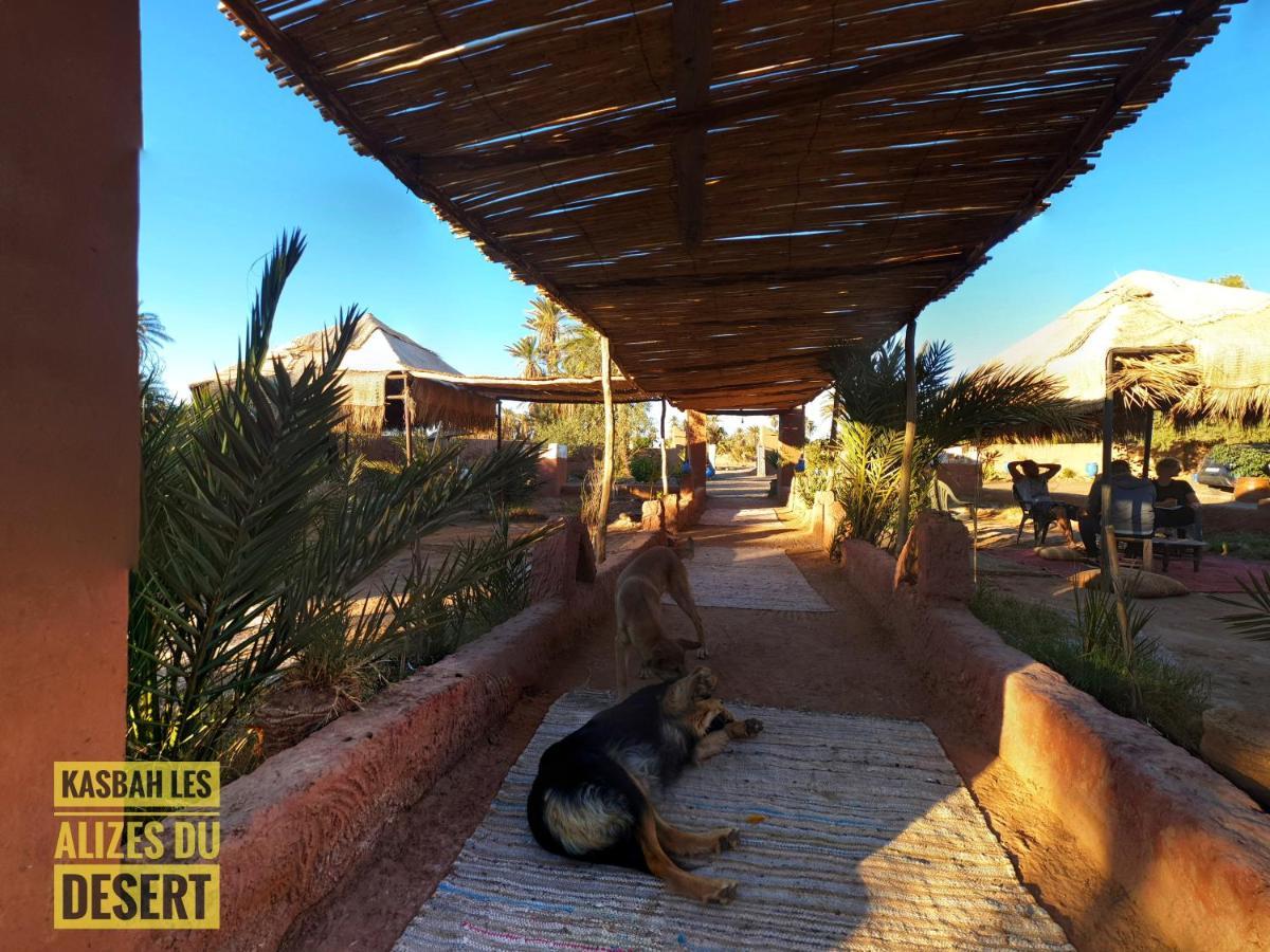 Kasbah Les Alizes Du Desert Мхамид Екстериор снимка